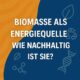 Biomasse als Energiequelle – Wie nachhaltig ist sie?